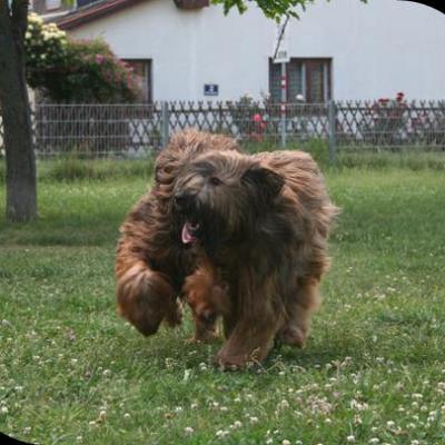 Courage Kiara066