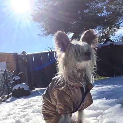 20160213 Leeroy