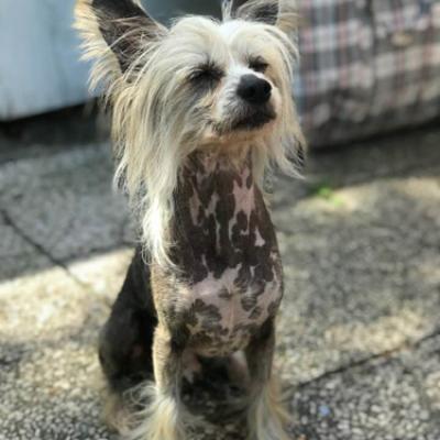20190628 Leeroy02
