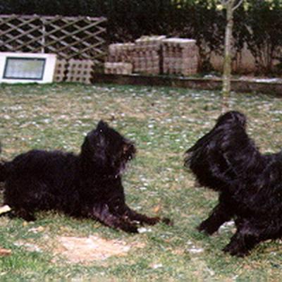 Batida167