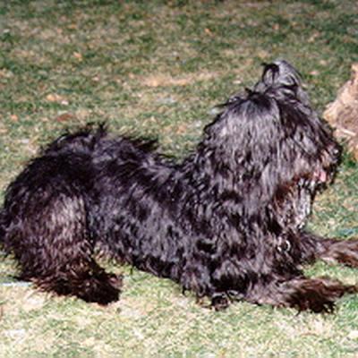 Batida169