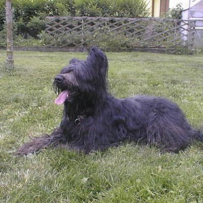 Batida171