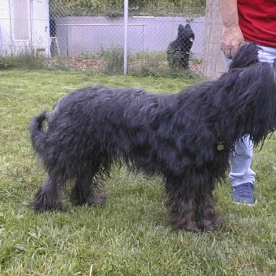 Batida174