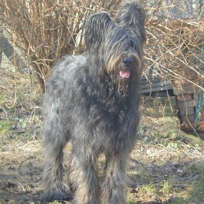 Batida