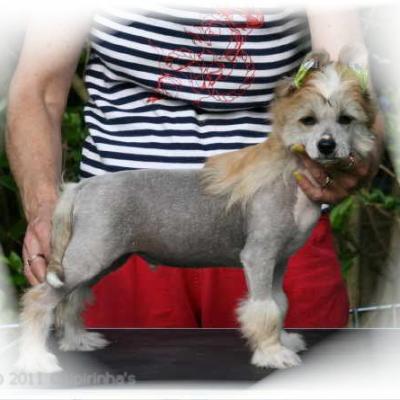 34 Need 4speed