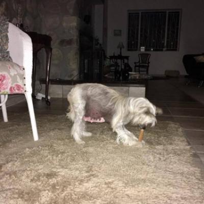67 20170427needy