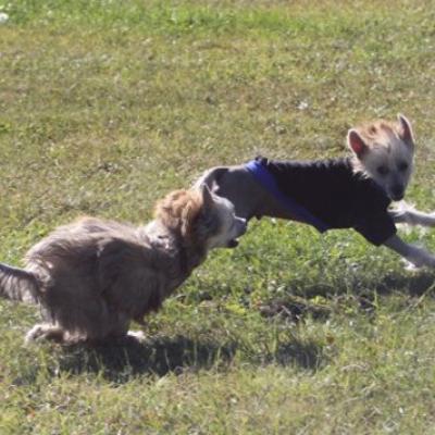 Tanner 20111008 04