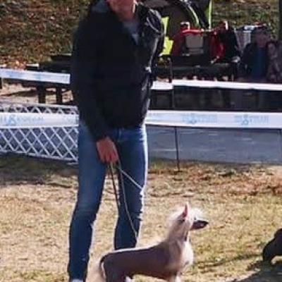 033 Cacib Komarom 21 Oct 2018