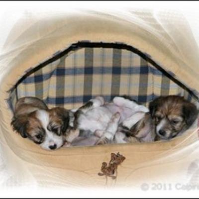 17 Schlafenszeit Bedtime
