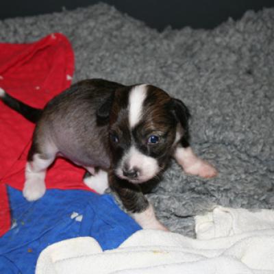 04 Img 0672