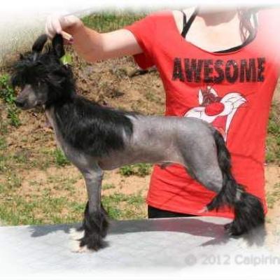 02 One Ofhis Own Aka Gatsby 15 Jun 2012
