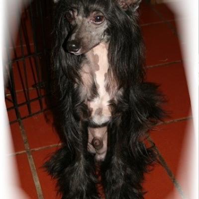 38 One Ofhis Own Aka Gatsby 25 Aug 2013