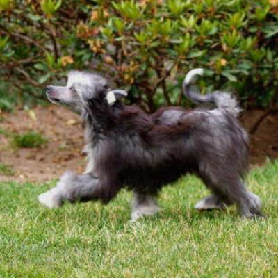 05 Sly 5 Jun 2012