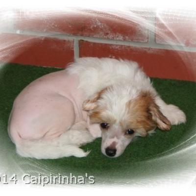 07 19 July 2014 Prada