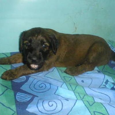D027
